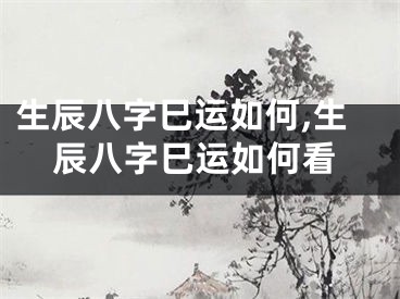 生辰八字巳运如何,生辰八字巳运如何看