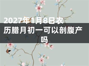 2027年1月8日农历腊月初一可以剖腹产吗