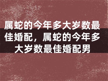 属蛇的今年多大岁数最佳婚配，属蛇的今年多大岁数最佳婚配男