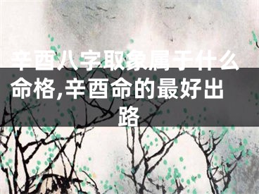 辛酉八字取象属于什么命格,辛酉命的最好出路