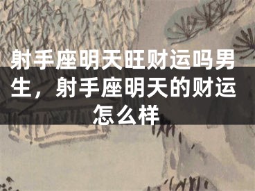 射手座明天旺财运吗男生，射手座明天的财运怎么样