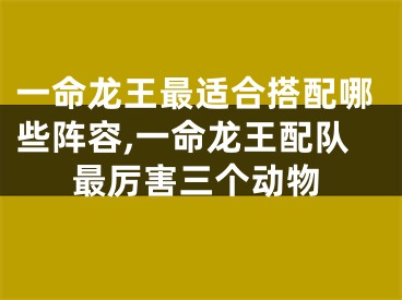 一命龙王最适合搭配哪些阵容,一命龙王配队最厉害三个动物