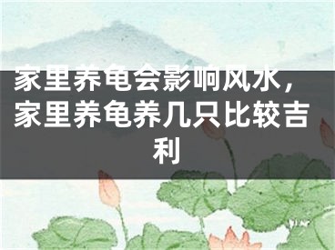 家里养龟会影响风水，家里养龟养几只比较吉利