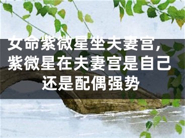 女命紫微星坐夫妻宫,紫微星在夫妻宫是自己还是配偶强势