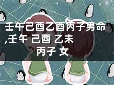 壬午己酉乙酉丙子男命,壬午 己酉 乙未 丙子 女
