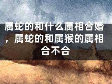 属蛇的和什么属相合婚，属蛇的和属猴的属相合不合