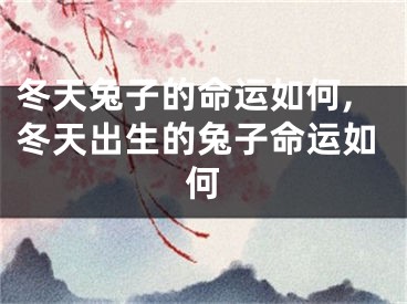 冬天兔子的命运如何,冬天出生的兔子命运如何