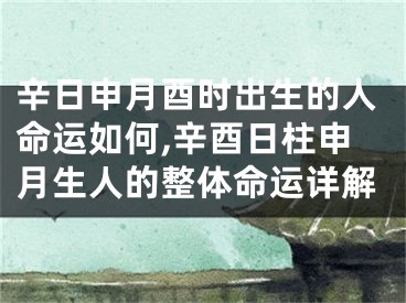 辛日申月酉时出生的人命运如何,辛酉日柱申月生人的整体命运详解