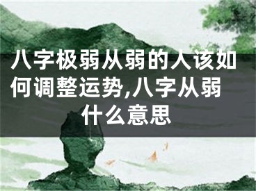 八字极弱从弱的人该如何调整运势,八字从弱什么意思