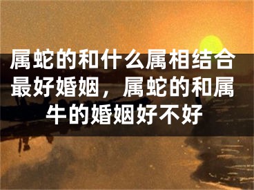 属蛇的和什么属相结合最好婚姻，属蛇的和属牛的婚姻好不好
