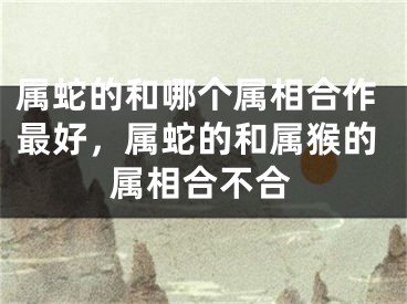 属蛇的和哪个属相合作最好，属蛇的和属猴的属相合不合
