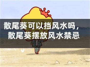 散尾葵可以挡风水吗，散尾葵摆放风水禁忌