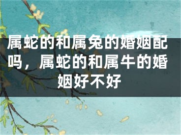 属蛇的和属兔的婚姻配吗，属蛇的和属牛的婚姻好不好