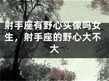 射手座有野心头像吗女生,射手座的野心大不大