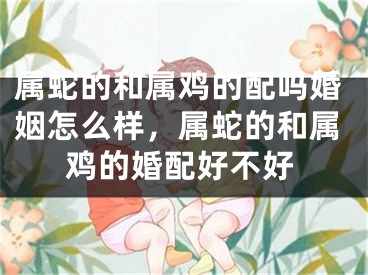 属蛇的和属鸡的配吗婚姻怎么样，属蛇的和属鸡的婚配好不好