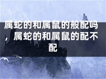 属蛇的和属鼠的般配吗，属蛇的和属鼠的配不配