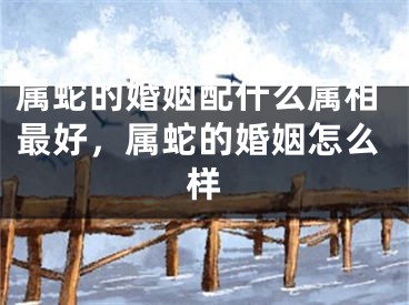 属蛇的婚姻配什么属相最好，属蛇的婚姻怎么样