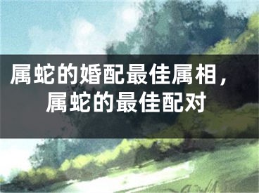 属蛇的婚配最佳属相，属蛇的最佳配对