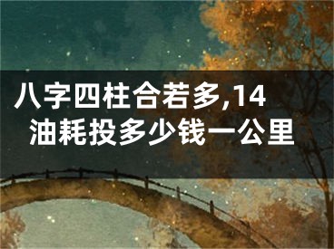 八字四柱合若多,14油耗投多少钱一公里