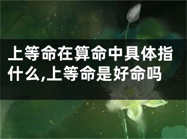 上等命在算命中具体指什么,上等命是好命吗