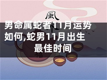 男命属蛇者11月运势如何,蛇男11月出生最佳时间