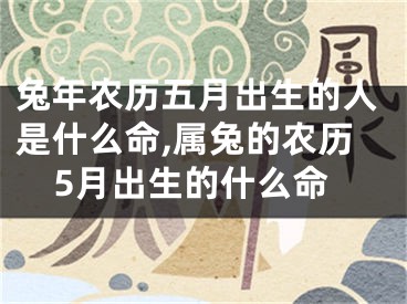 兔年农历五月出生的人是什么命,属兔的农历5月出生的什么命