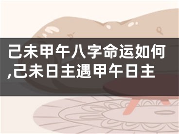 己未甲午八字命运如何,己未日主遇甲午日主