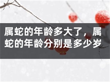属蛇的年龄多大了，属蛇的年龄分别是多少岁
