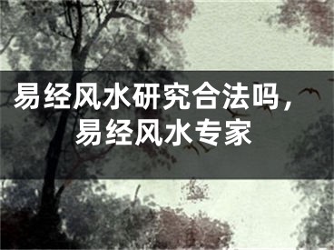 易经风水研究合法吗，易经风水专家