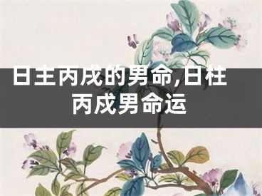 日主丙戌的男命,日柱丙戍男命运