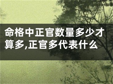 命格中正官数量多少才算多,正官多代表什么