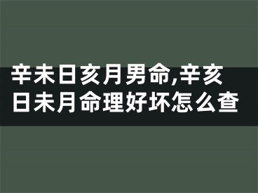 辛未日亥月男命,辛亥日未月命理好坏怎么查