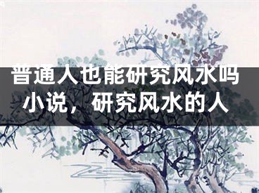 普通人也能研究风水吗小说，研究风水的人
