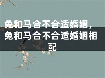 兔和马合不合适婚姻，兔和马合不合适婚姻相配