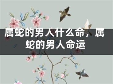 属蛇的男人什么命，属蛇的男人命运