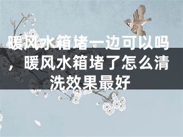 暖风水箱堵一边可以吗，暖风水箱堵了怎么清洗效果最好