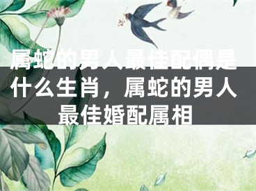 属蛇的男人最佳配偶是什么生肖，属蛇的男人最佳婚配属相