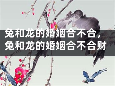 兔和龙的婚姻合不合,兔和龙的婚姻合不合财