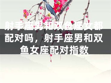 射手座男和双鱼座女都配对吗，射手座男和双鱼女座配对指数