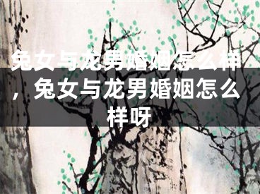 兔女与龙男婚姻怎么样，兔女与龙男婚姻怎么样呀