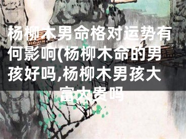 杨柳木男命格对运势有何影响(杨柳木命的男孩好吗,杨柳木男孩大富大贵吗