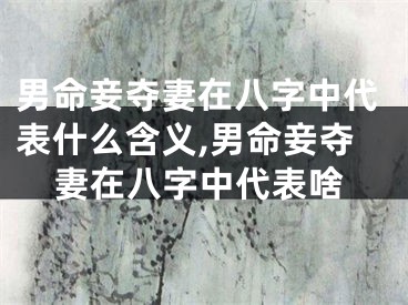 男命妾夺妻在八字中代表什么含义,男命妾夺妻在八字中代表啥