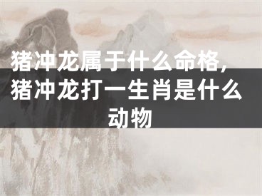 猪冲龙属于什么命格,猪冲龙打一生肖是什么动物