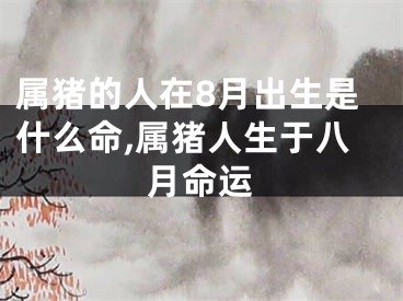 属猪的人在8月出生是什么命,属猪人生于八月命运