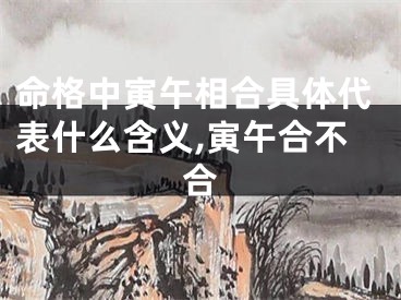 命格中寅午相合具体代表什么含义,寅午合不合