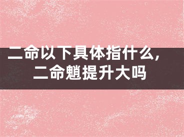 二命以下具体指什么,二命魈提升大吗