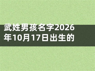 武姓男孩名字2026年10月17日出生的