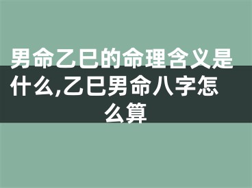 男命乙巳的命理含义是什么,乙巳男命八字怎么算