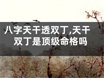 八字天干透双丁,天干双丁是顶级命格吗