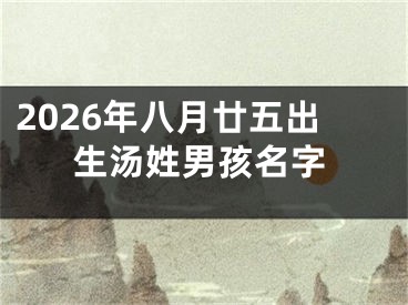 2026年八月廿五出生汤姓男孩名字